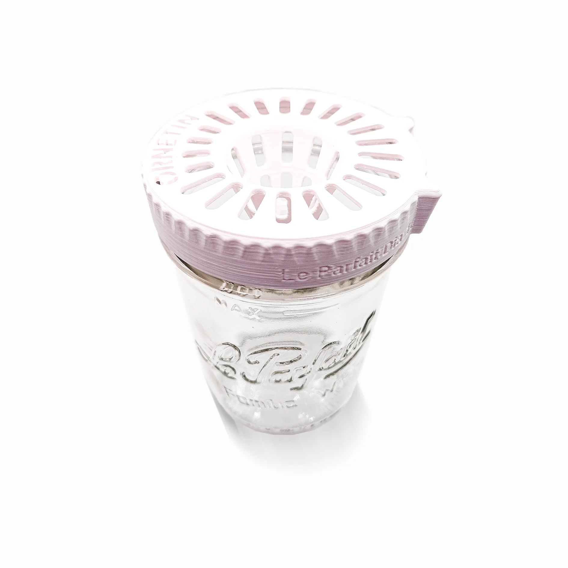 Asian hornet trap "Familia Wiss 750" Ø 100 - Le Parfait X Ornetine - Image 5